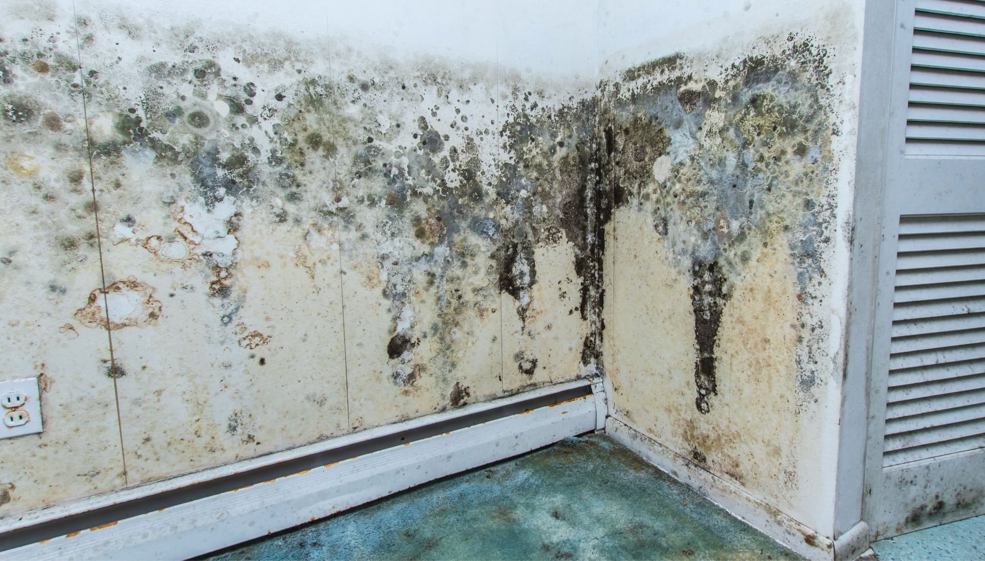 A mold remediation team using specialized techniques to remove mold damage and control odors in a Little Rock property, with a focus on safety and efficiency